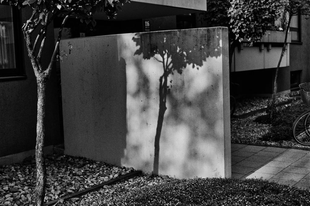 Betonbaum / Concrete Tree